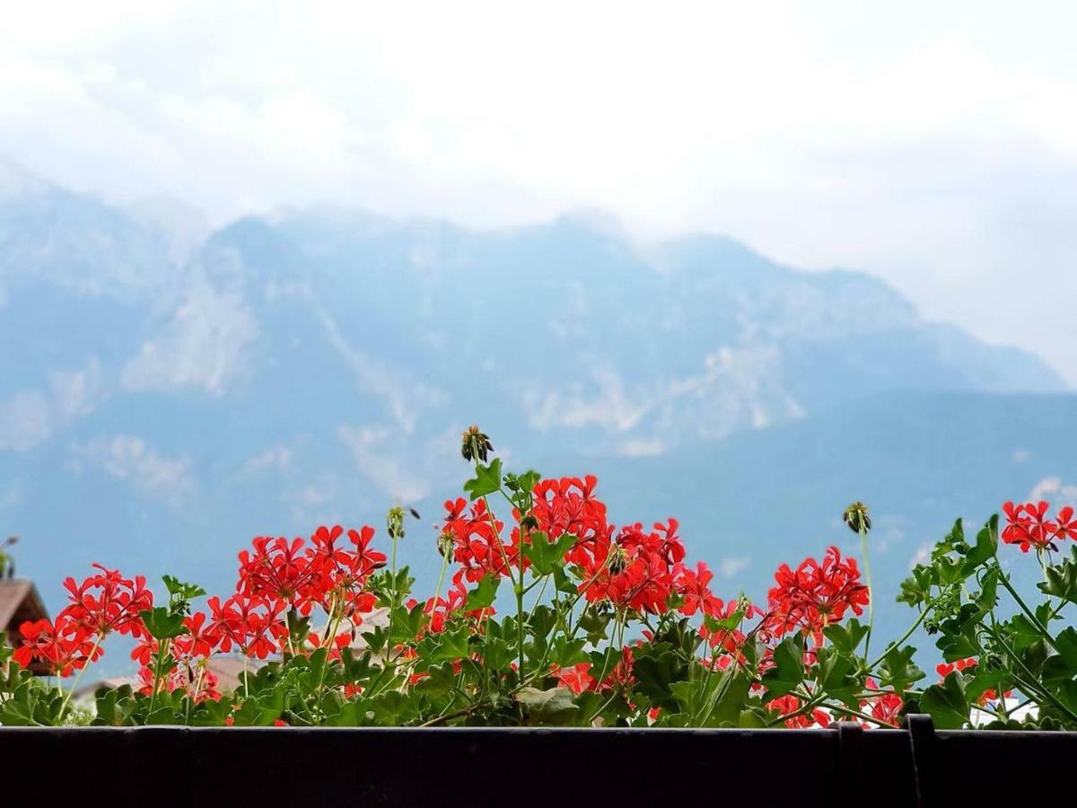 La Casa Di Michela - 120M2 In The Mountains With Fireplace & Garden Strigno Zewnętrze zdjęcie